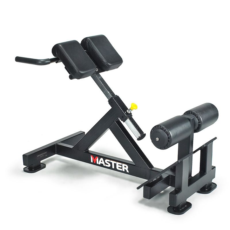 Lexco Master LF212 Back Extension Bench